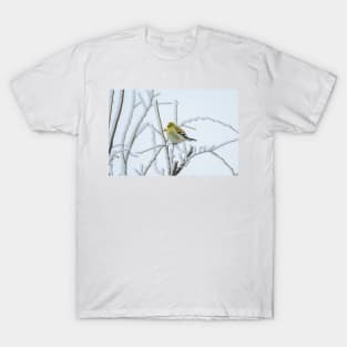 American Goldfinch on Snow Covered Branches by Debra Martz T-Shirt